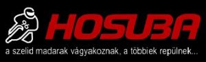 hosuba-logo